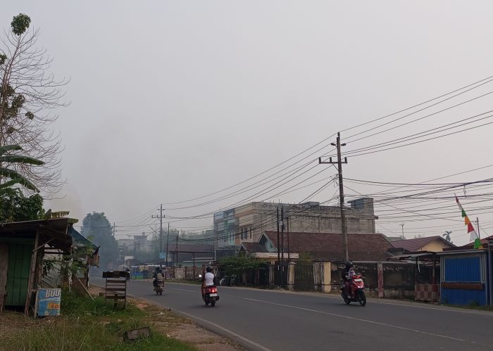 Kegiatan Sekolah di Jambi Dibatasi Lantaran Kabut Asap