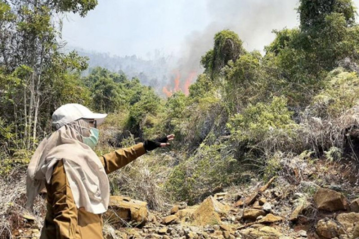 Pemadaman Api di Tahura Sultan Adam Kalsel Dibantu 2 Helikopter
