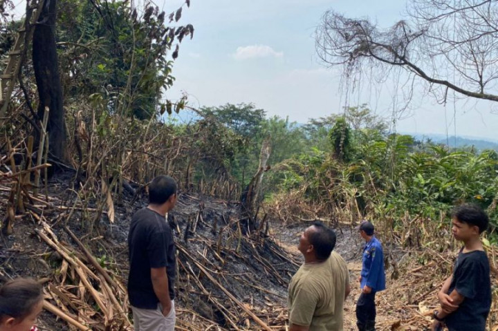 BPBD Rejang Lebong Siagakan Personel Penanggulangan Karhutla