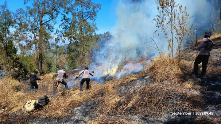 Kebakaran Gunung Arjuno Diduga Disengaja, 3 Orang Diperiksa
