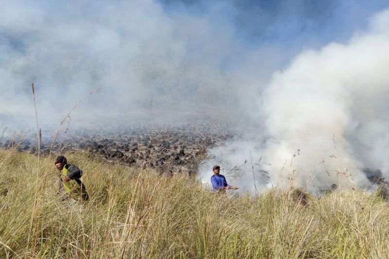 Personel gabungan Balai Besar Taman Nasional Bromo Tengger Semeru (BB TNBTS) pada saat melakukan proses pemadaman api di area savana, di wilayah Kabupaten Malang, Jawa Timur, Rabu (30/8/2023). (ANTARA/HO-Balai Besar TNBTS)