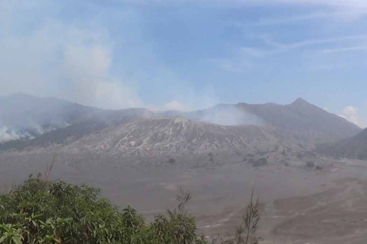 Lautan Pasir Bromo Ditutup, Omset Pelaku Wisata Anjlok Hingga 75 Persen