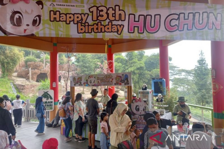 Taman Safari Bogor Rayakan Ultah ke-13 Panda Hu Chun