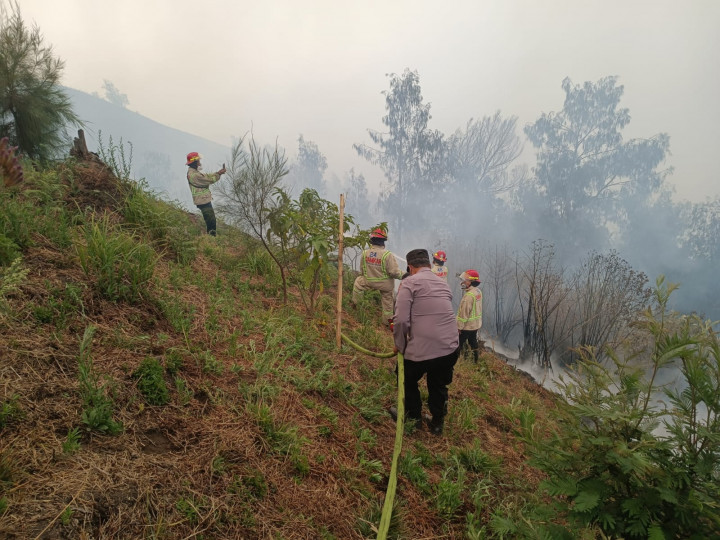 Kebakaran Gunung Bromo Merembet ke Perbatasan Lumajang-Malang