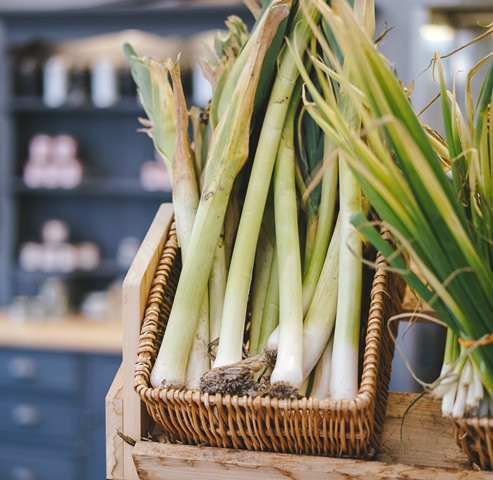 Simak beberapa manfaat kesehatan dari daun bawang.  (Foto: Ilustrasi/Dok. Unsplash.com)