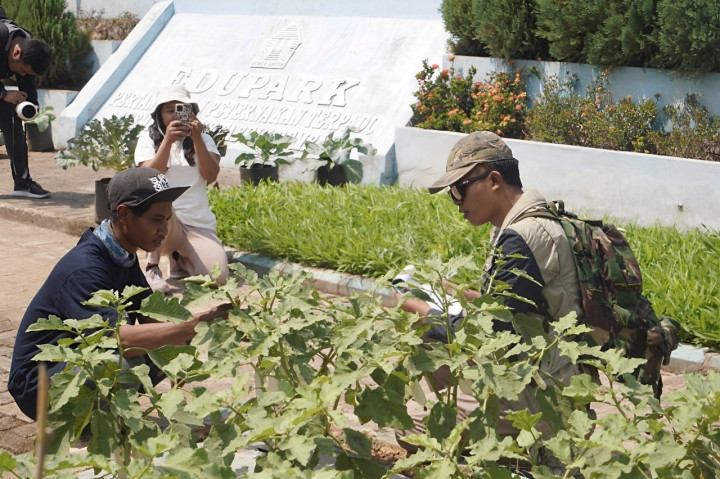 Wadah Komunikatif, Media Sosial Bisa Jadi Peluang Bisnis