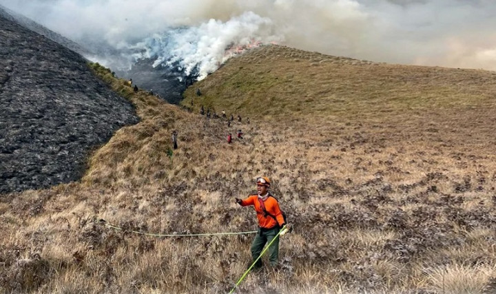 Api di Bukit Teletubbies Bromo Padam
