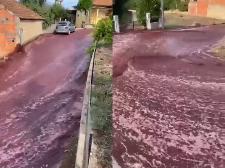 Desa di Portugal Berubah Jadi Lautan Merah Akibat Tangki Berisi 2,2 Juta Liter Wine Jebol