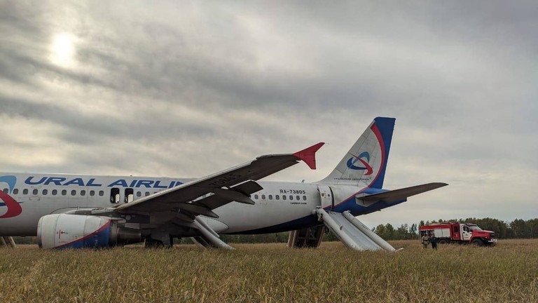 Pesawat Ural Airlines yang mendarat darurat di Rusia. Foto: Telegram