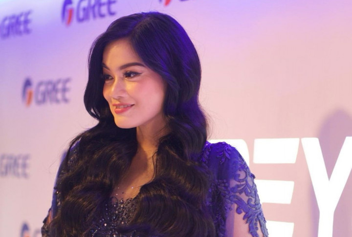 Polusi Udara di Jakarta Memburuk, Titi Kamal Pakai Teknologi Ini di Rumah