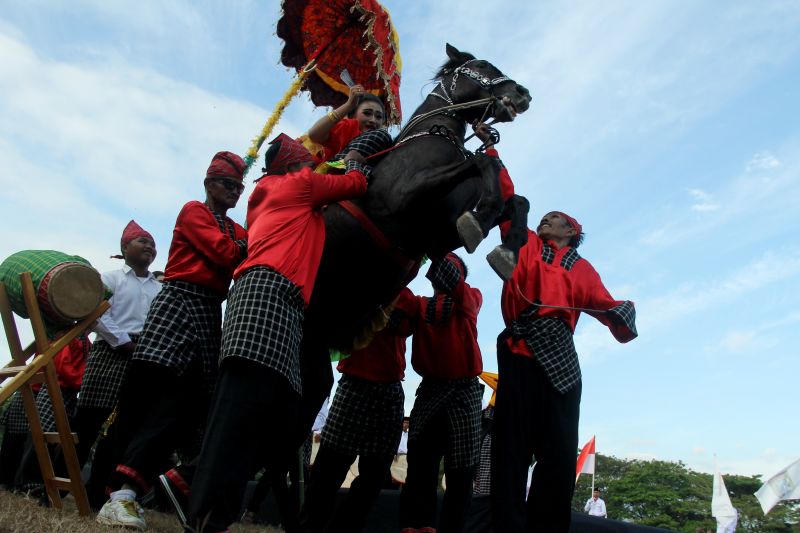 Peserta karnaval budaya menampilkan Sayyang Patuddu (Kuda Menari) pada pembukaan acara Polewali Mandar Internasional Folk Art Festival (PIFAF) di Area Sport Centre, Polewali Mandar, Sulawesi Barat, Kamis, 1 Agustus 2019. Antara/Akbar Tado