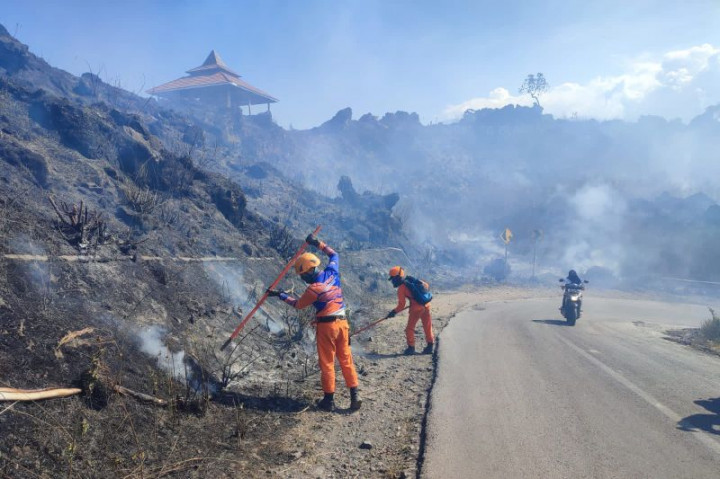 Kebakaran Lahan di Lereng Gunung Ijen Mencapai 20 Hektare