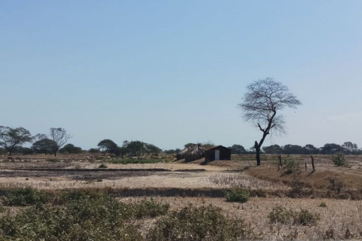 Peluang Hujan di NTT Sangat Rendah