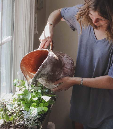 Penyiraman Tanaman, 7 Tips agar Tanaman Tetap Tumbuh Sehat