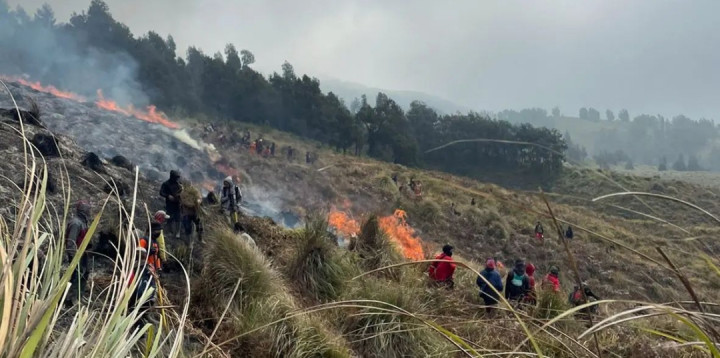 Luas Lahan Kebakaran di Gunung Arjuno dan Bromo Mencapai 4.500 Hektare