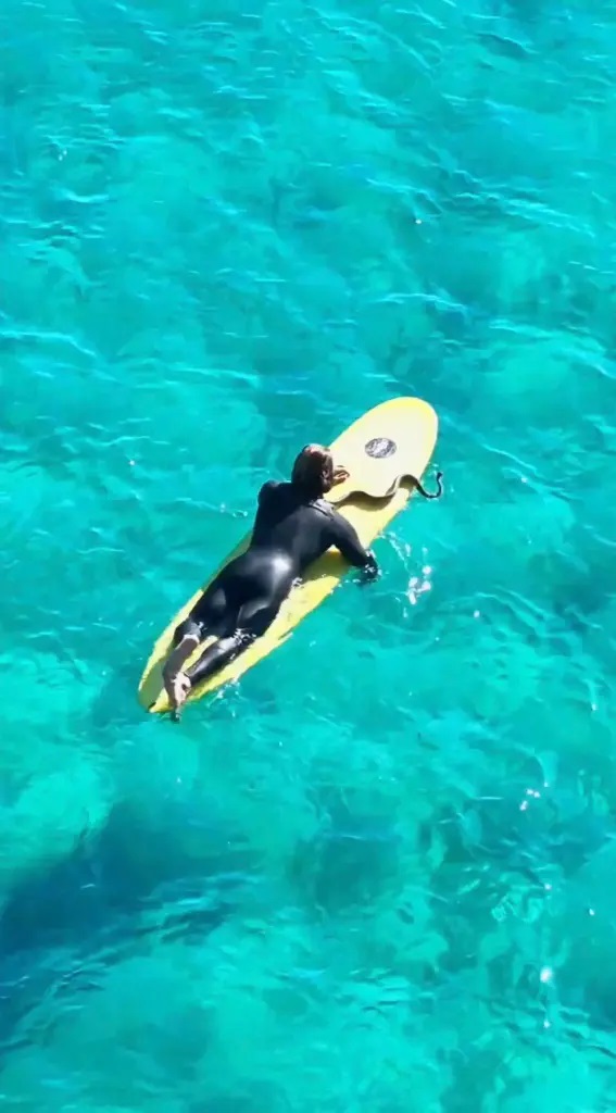 Berselancar Bareng Ular Piton, Pria di Australia Ini Didenda Rp22 Juta