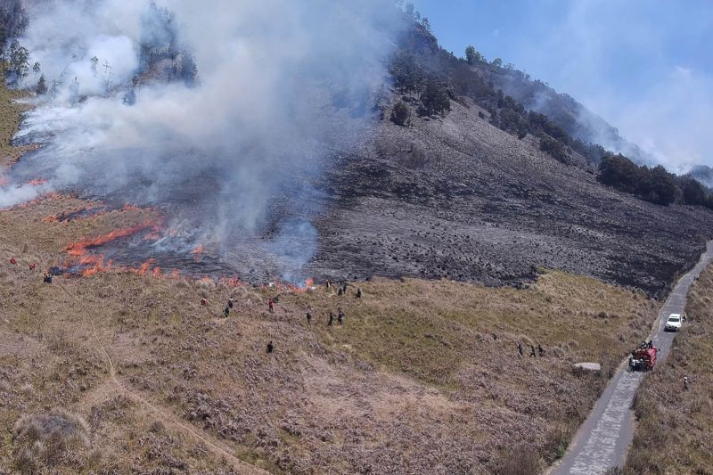 Personel gabungan Balai Besar Taman Nasional Bromo Tengger Semeru (BB TNBTS) pada saat melakukan proses pemadaman api di area savana, di wilayah Kabupaten Malang, Jawa Timur, Rabu (30/8/2023). ANTARA/HO-Balai Besar TNBTS. Dok. Antara