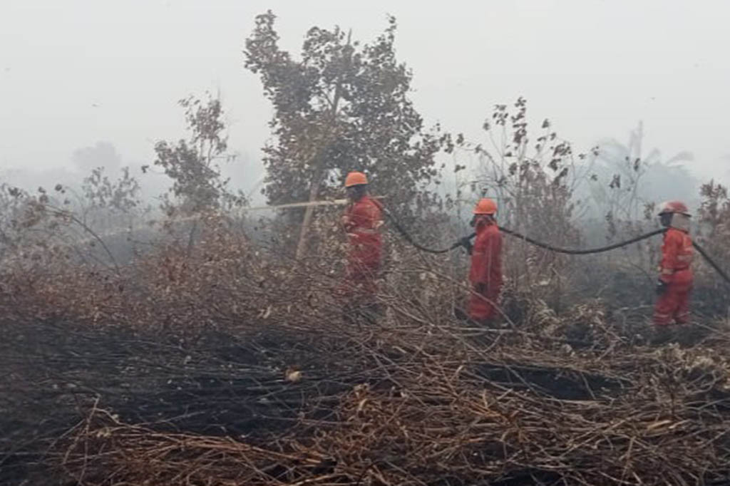 Area Kubah Gambut di OKI Mulai Terbakar