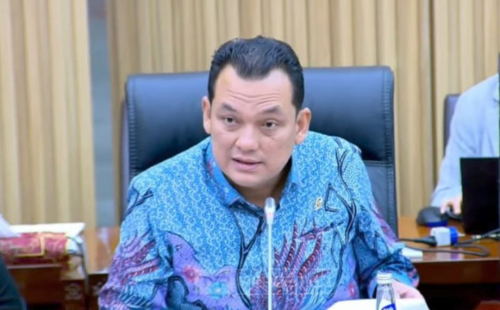 Martin Manurung Sindir Dana Listrik Desa Tidak Cair