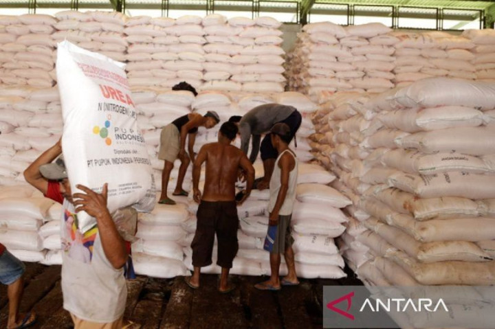 Pemprov Babel Tegaskan Tidak Ada Penyelewengan Pupuk Bersubsidi