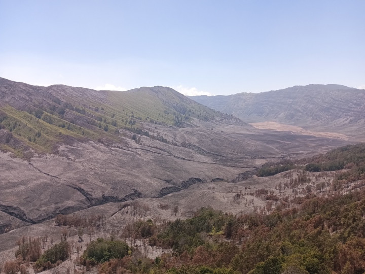 Kerugian Akibat Kebakaran di Kawasan Bromo Capai Rp5,4 Miliar