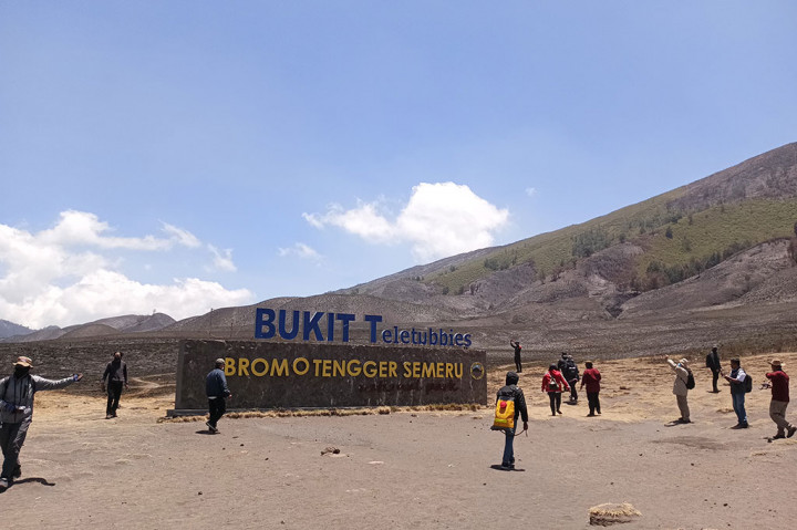 Pemulihan Ekosistem Gunung Bromo Pascakebakaran Butuh Rp3,5 Miliar