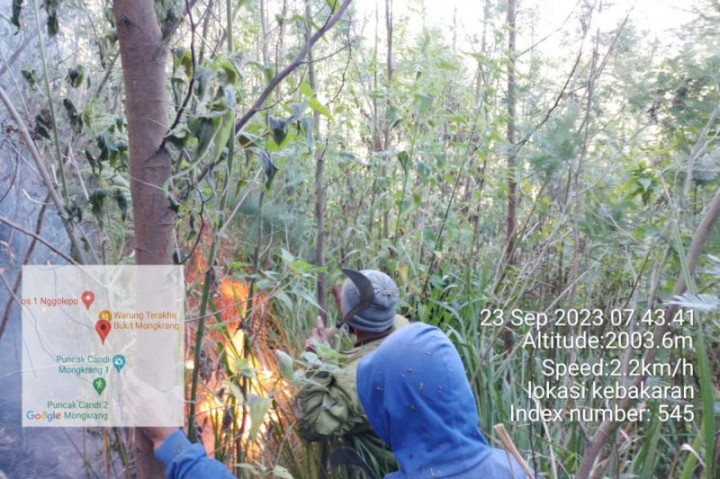 Kebakaran di Kawasan Mongkrang Gunung Lawu Berhasil Dipadamkan