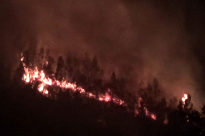 Sempat Terbakar, Api di Mongkrang Gunung Lawu Padam