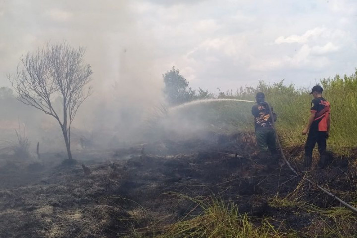 Pemadaman Kebakaran Lahan di Palangkaraya Terkendala Sumber Air