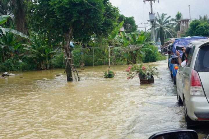 430 hektare lahan pertanian terdampak banjir di Pasaman Barat