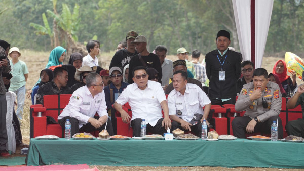 Demi Mencapai Ketahanan Pangan Berkelanjutan, Petani Perlu Lakukan Ini