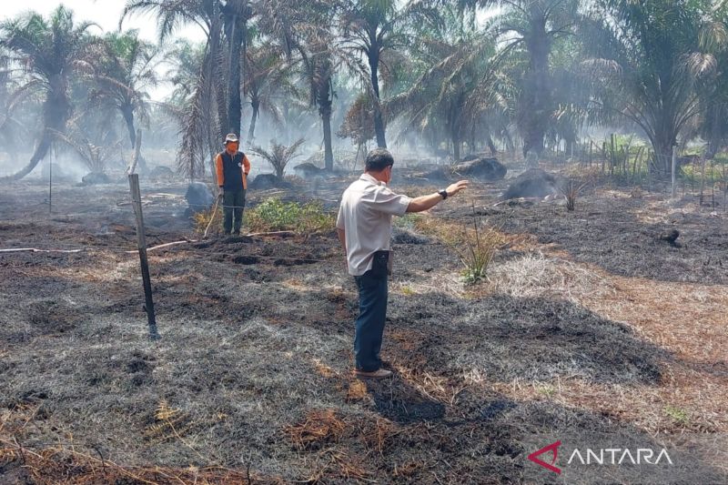 BPBD Kabupaten Mukomuko, Provinsi Bengkulu, menurunkan tim untuk memadamkan kebakaran lahan (karhutla) gambut di belakang bandara Mukomuko. Foto: Branda Antara