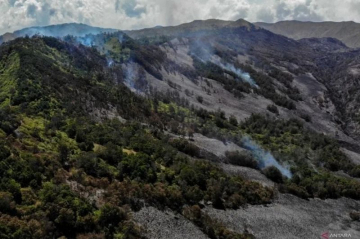 Kasus Karhutla Bromo Diambil Alih Polda Jatim