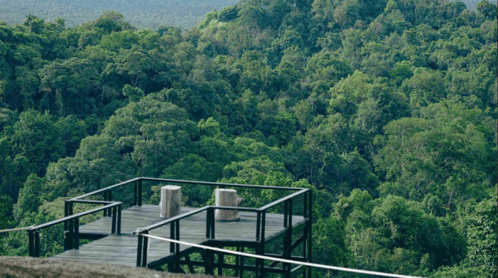 Dapat Rekor MURI sebagai Hutan Digital Pertama di Indonesia, Ini Profil Bukit Peramun