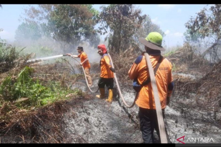 Cegah Karhutla, Satgas BPBD Kalbar Rutinkan Patroli