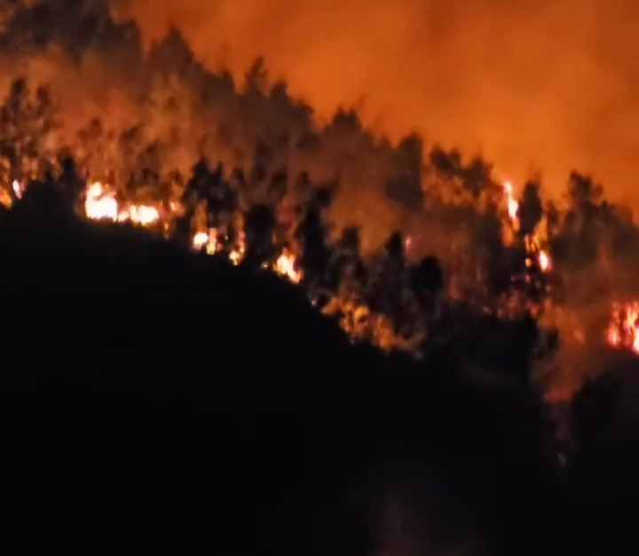 Kawasan Wisata Bukit Mongkrang Kembali Terbakar