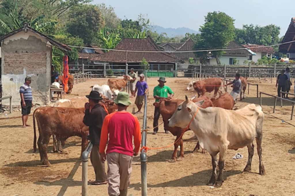 Foto Terpopuler: Peternak di Boyolali Jual Sapi untuk Beli Air hingga Pembagian Beras di Sidoarjo