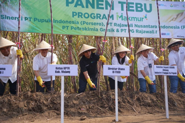 Tingkatkan Produktivitas dan Pendapatan Petani Tebu, Begini Caranya
