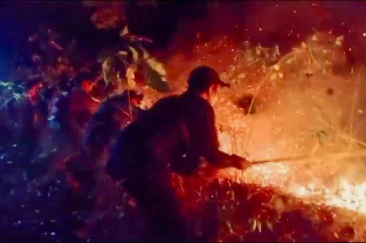 Kebakaran di Taman Nasional Baluran Padam pada Hari ke-5