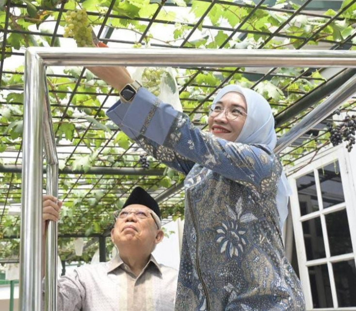 Wapres Panen Anggur Bareng Keluarga