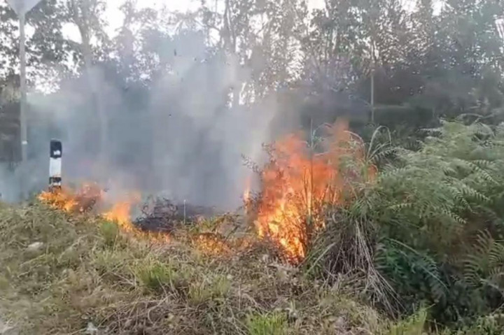 Satu Hektare Lahan Kosong di Pinggir Jalan Lintas Sumatra Terbakar