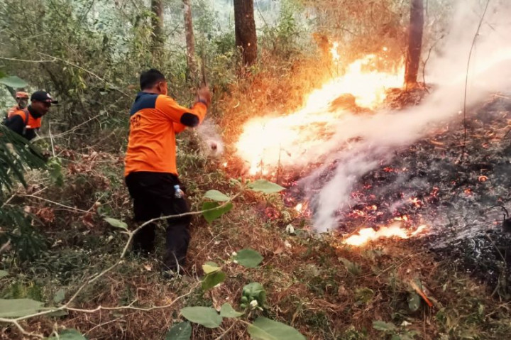 BPBD Jatim Terjunkan Tim Pemadam Atasi Karhutla Gunung Lawu