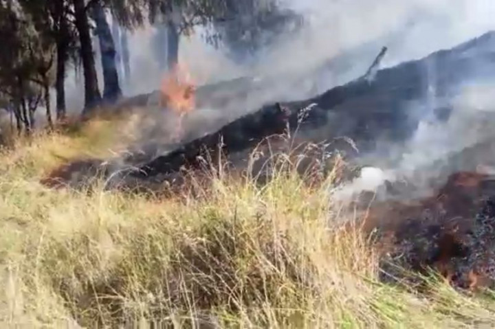 <i>Water Bombing</i> Dikerahkan Padamkan Kebakaran di Gunung Lawu