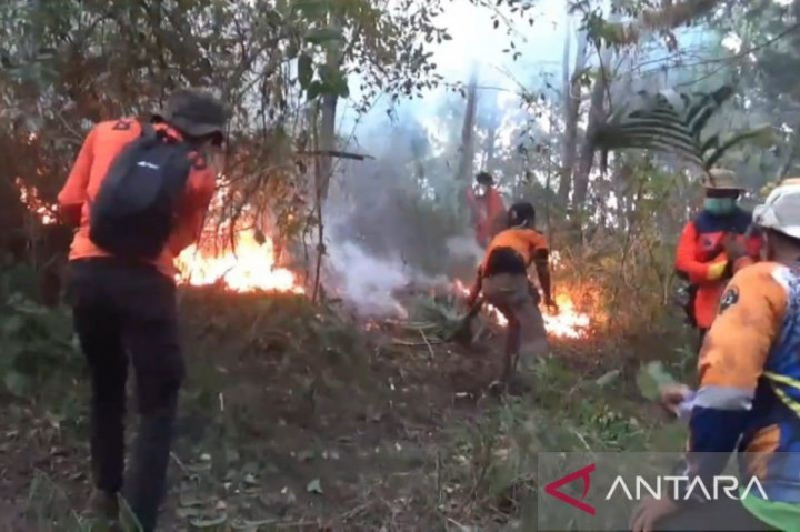BPBD Jatim: Api di Gunung Lawu Mengarah ke Puncak