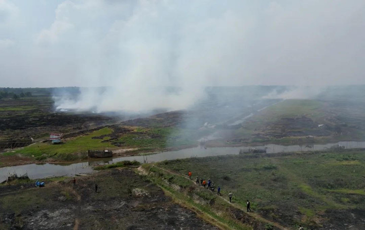 DPRD Minta Pj Gubernur Tetapkan Sumsel Tanggap Darurat Karhutla