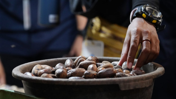 Pengembangan Obat Antikanker dari Bahan Alam Butuh Strategi