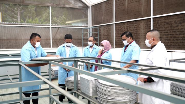 Mengenal Produk Indikasi Geografis Java Preanger Tea dari Bumi Parahyangan