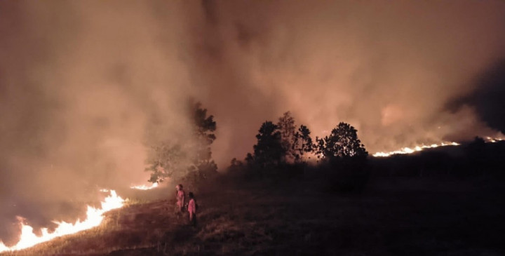 Lahan Perkebunan Terbakar di Bone Tewaskan 1 Orang