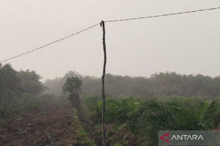 Sebagian Wilayah Mukomuko Bengkulu Tertutupi Kabut Asap