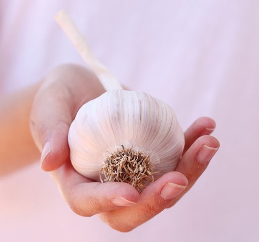 Yuk, tahu lebih dalam tentang berbagai jenis bawang putih dengan kegunaannya. (Foto: Ilustrasi/Dok. Unsplash.com)